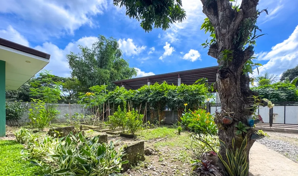 Jardín de la casa de InPeace